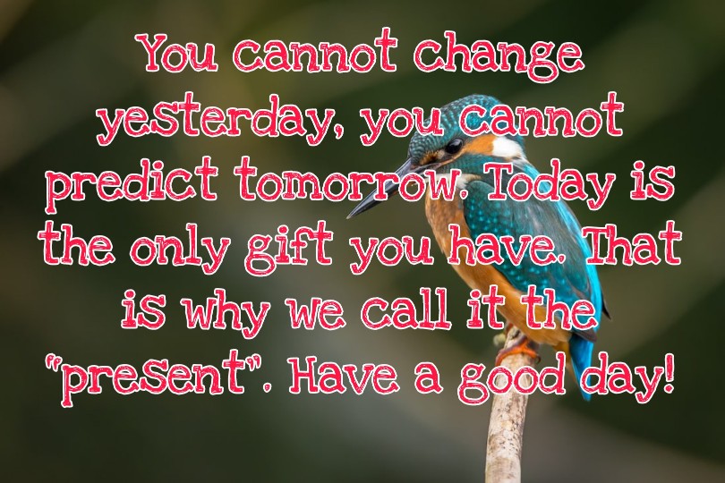 300+ Latest Good Morning Images with Quotes 2023 29 300+ Latest Good Morning Images with Quotes 2023 29