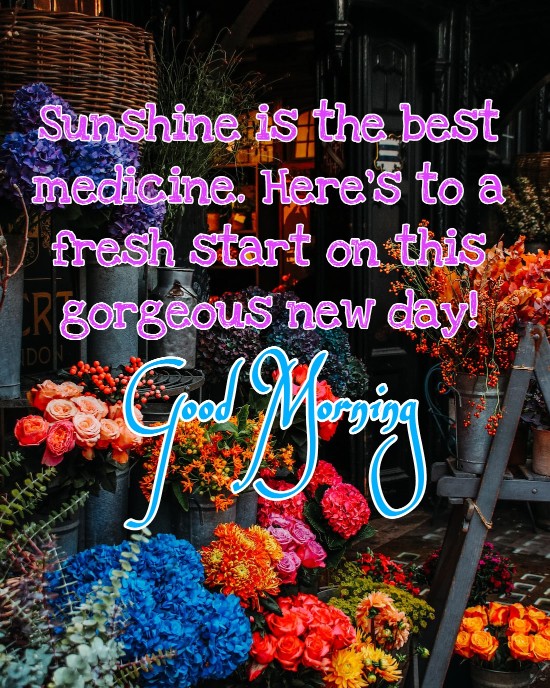 300+ Latest Good Morning Images with Quotes 2023 28 300+ Latest Good Morning Images with Quotes 2023 28