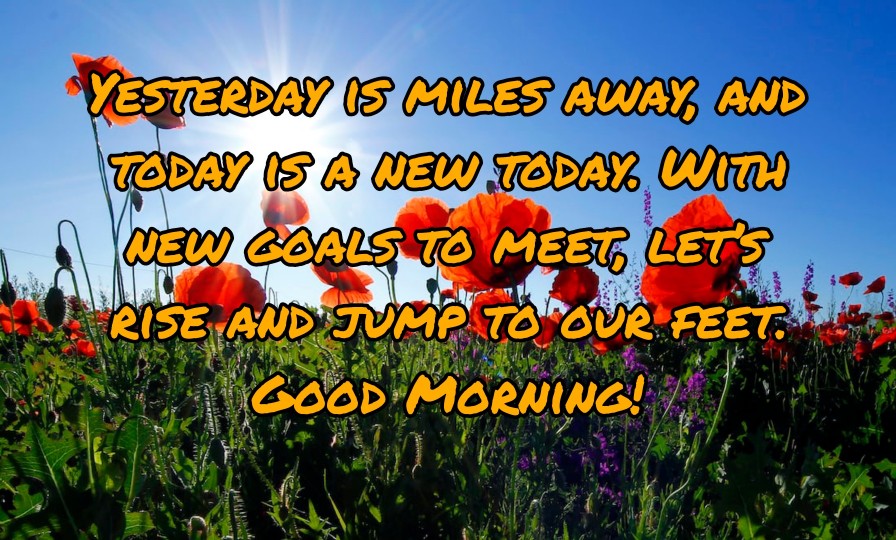 300+ Latest Good Morning Images with Quotes 2023 27 300+ Latest Good Morning Images with Quotes 2023 27