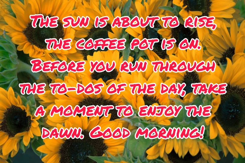 300+ Latest Good Morning Images with Quotes 2023 26 300+ Latest Good Morning Images with Quotes 2023 26