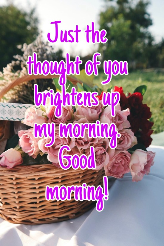 300+ Latest Good Morning Images with Quotes 2023 36 300+ Latest Good Morning Images with Quotes 2023 36