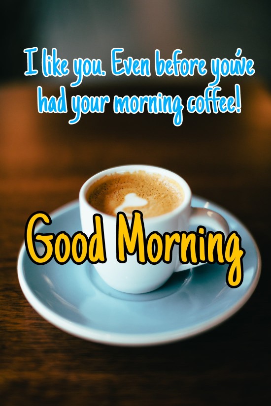 300+ Latest Good Morning Images with Quotes 2023 32 300+ Latest Good Morning Images with Quotes 2023 32