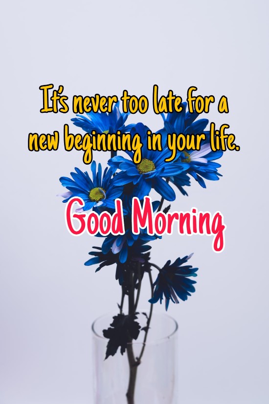 300+ Latest Good Morning Images with Quotes 2023 49 300+ Latest Good Morning Images with Quotes 2023 49