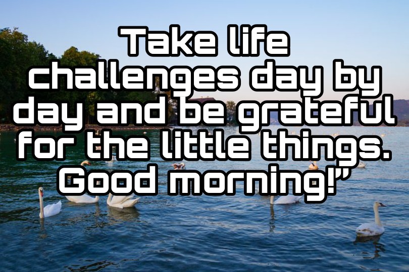 300+ Latest Good Morning Images with Quotes 2023 53 300+ Latest Good Morning Images with Quotes 2023 53
