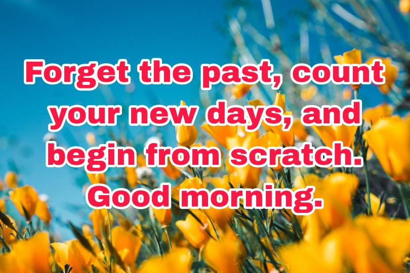 300+ Latest Good Morning Images with Quotes 2023 62 300+ Latest Good Morning Images with Quotes 2023 62
