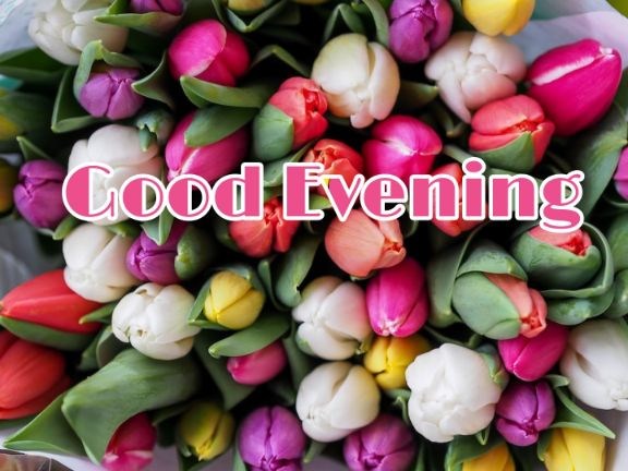 99+ Good Evening Images 2023 - Latest Collection 77 99+ Good Evening Images 2023 - Latest Collection 75