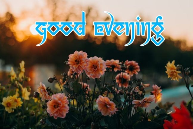 99+ Good Evening Images 2023 - Latest Collection 45 99+ Good Evening Images 2023 - Latest Collection 44