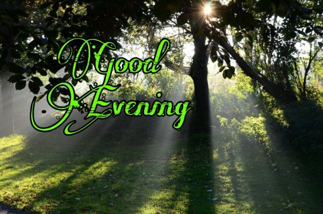 99+ Good Evening Images 2023 - Latest Collection 47