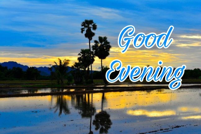 99+ Good Evening Images 2023 - Latest Collection 50