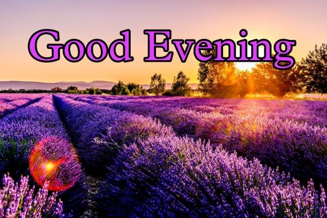 99+ Good Evening Images 2023 - Latest Collection 54 99+ Good Evening Images 2023 - Latest Collection 53
