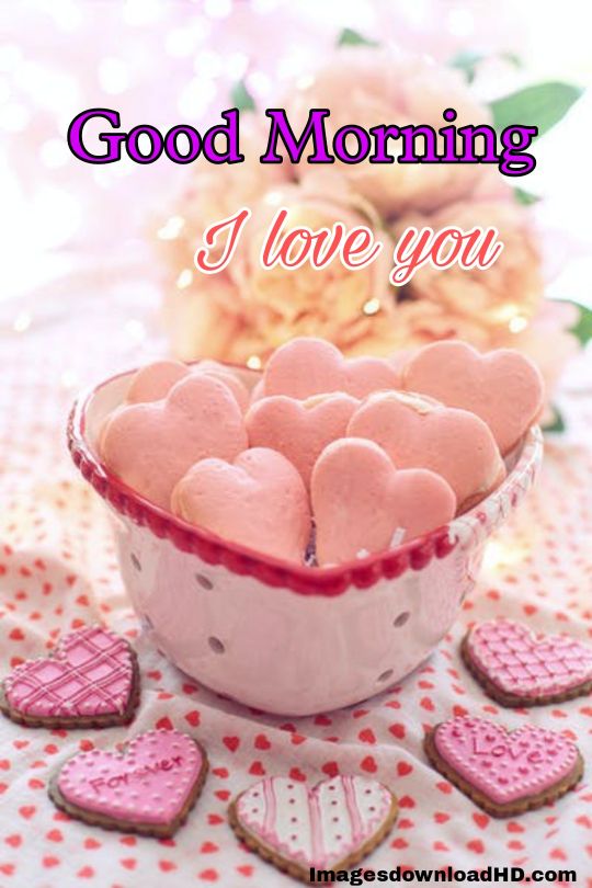 Good Morning Love Images 2023 3 Good Morning Love Images 2023 2