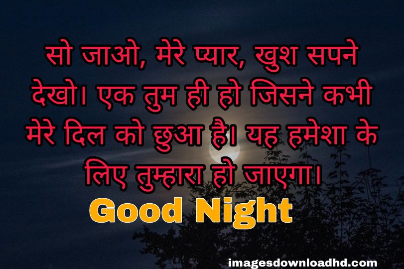 200+ Good Night Quotes in Hindi 2023 5