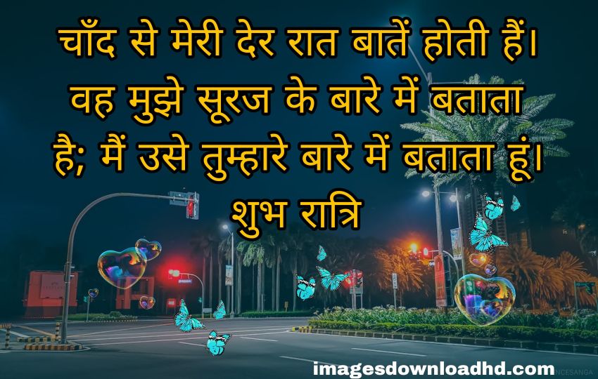 200+ Good Night Quotes in Hindi 2023 8