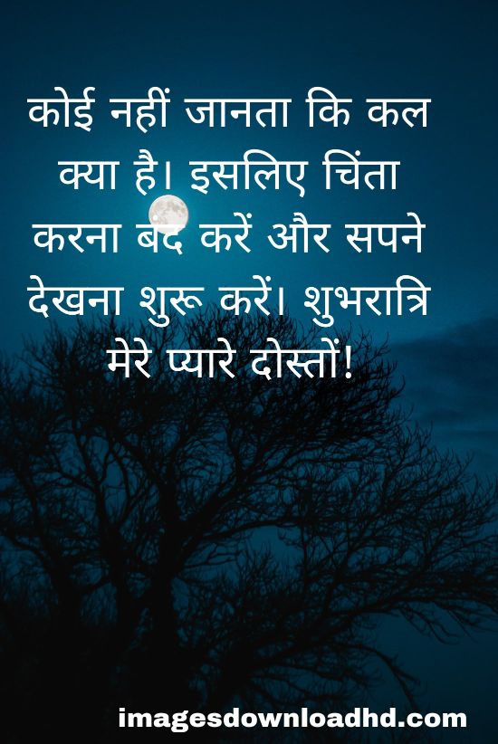 200+ Good Night Quotes in Hindi 2023 12