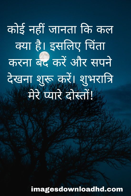 200+ Good Night Quotes in Hindi 2023 13 200+ Good Night Quotes in Hindi 2023 12