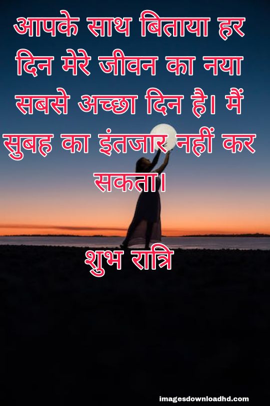 200+ Good Night Quotes in Hindi 2023 21