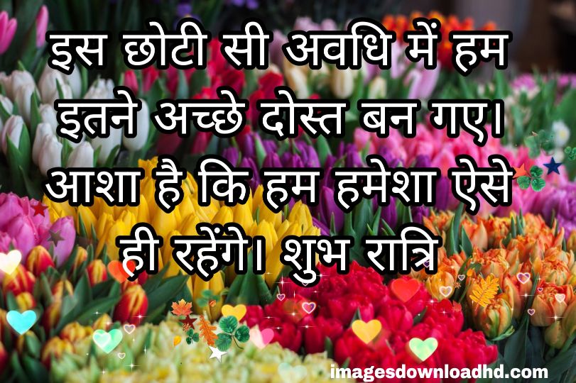 200+ Good Night Quotes in Hindi 2023 1