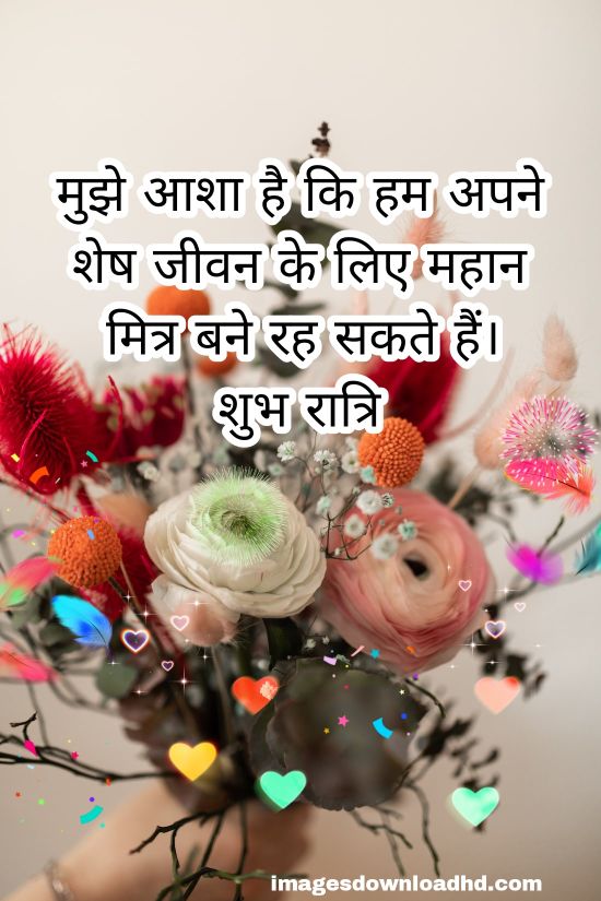 200+ Good Night Quotes in Hindi 2023 37