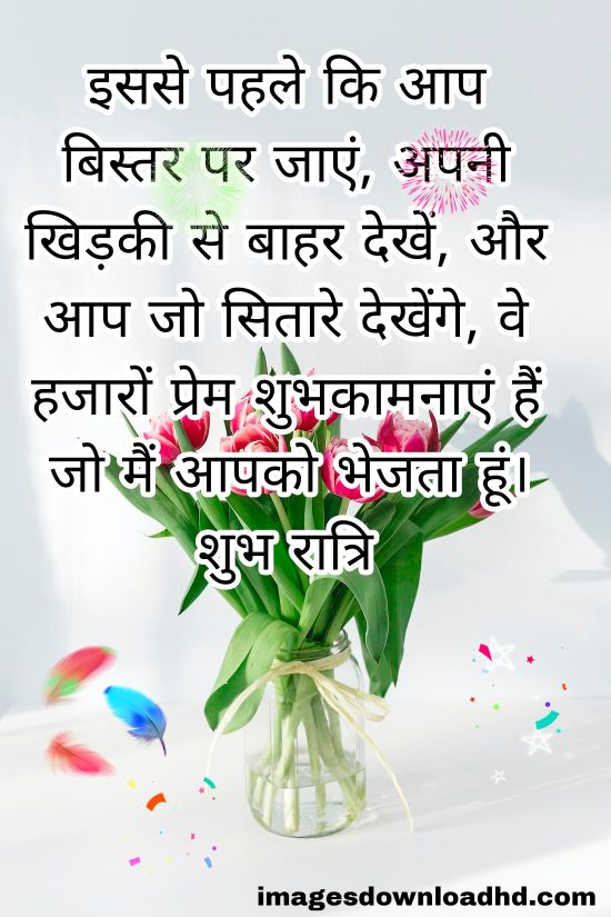 200+ Good Night Quotes in Hindi 2023 39 200+ Good Night Quotes in Hindi 2023 38