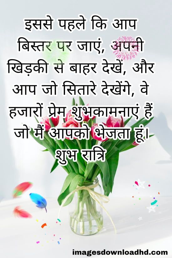 200+ Good Night Quotes in Hindi 2023 38