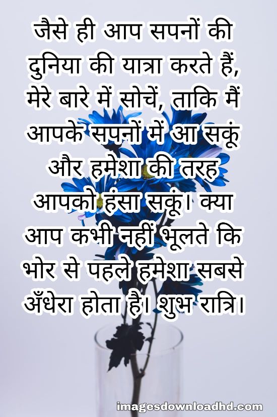 200+ Good Night Quotes in Hindi 2023 39