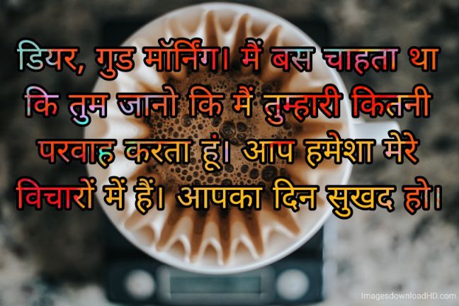 166+ Latest Good Morning Quotes in Hindi 2023 9