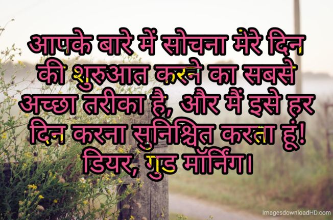 166+ Latest Good Morning Quotes in Hindi 2023 8
