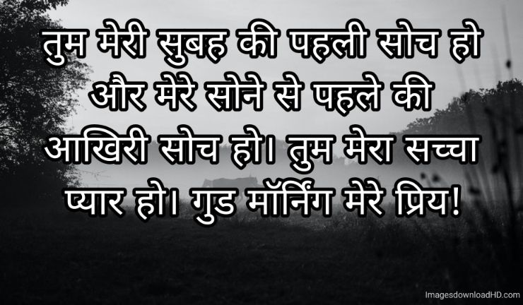 166+ Latest Good Morning Quotes in Hindi 2023 12