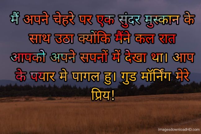 166+ Latest Good Morning Quotes in Hindi 2023 19