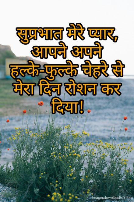 166+ Latest Good Morning Quotes in Hindi 2023 18