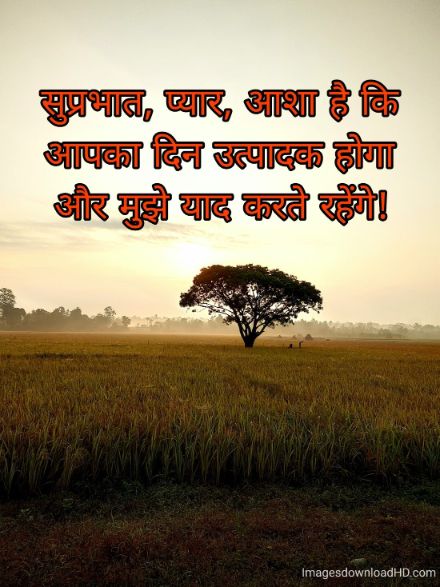 166+ Latest Good Morning Quotes in Hindi 2023 16