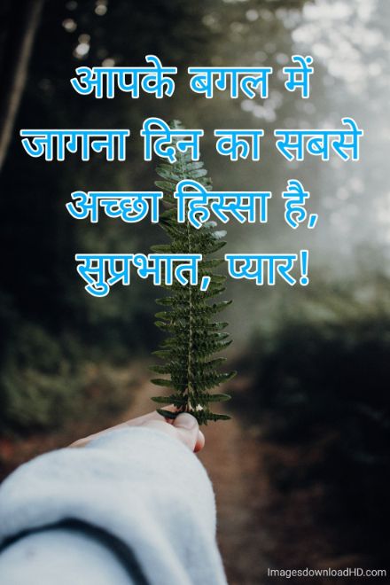 166+ Latest Good Morning Quotes in Hindi 2023 22