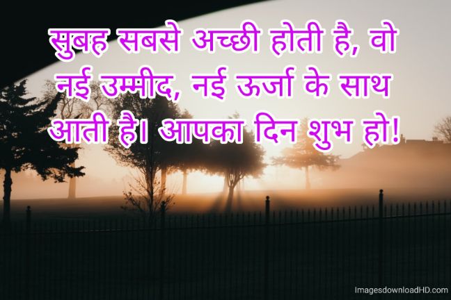 166+ Latest Good Morning Quotes in Hindi 2023 26
