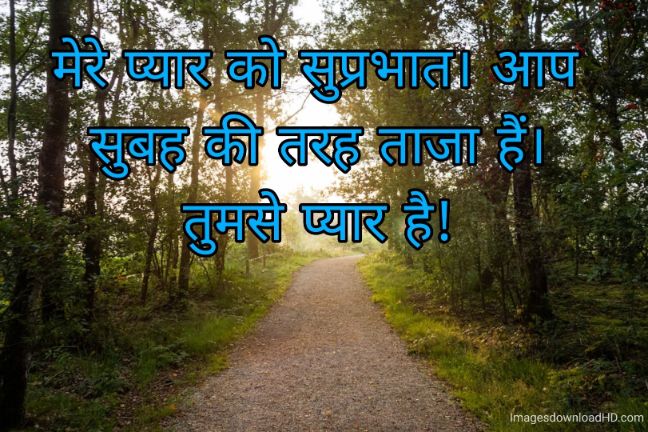 166+ Latest Good Morning Quotes in Hindi 2023 20