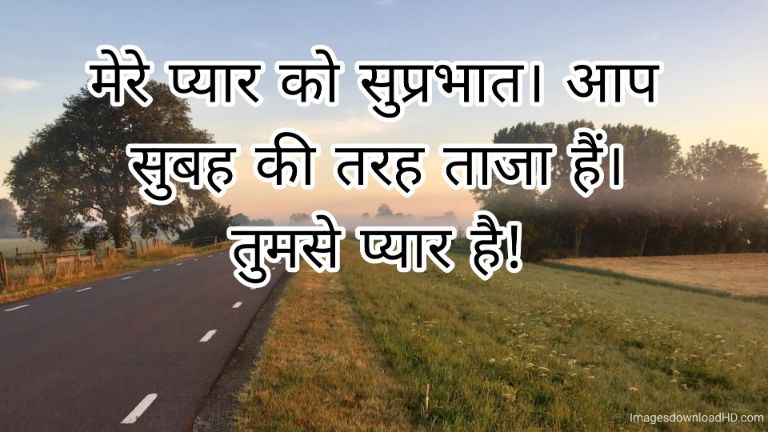 166+ Latest Good Morning Quotes in Hindi 2023 25