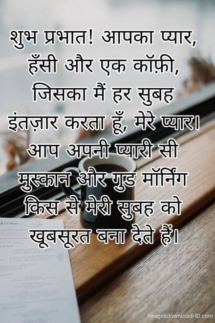 166+ Latest Good Morning Quotes in Hindi 2023 29