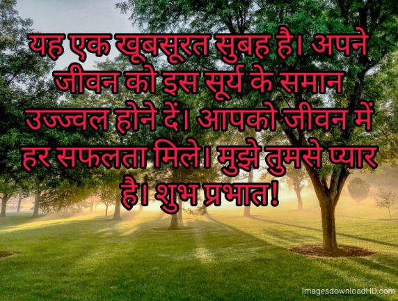 166+ Latest Good Morning Quotes in Hindi 2023 32
