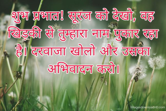 166+ Latest Good Morning Quotes in Hindi 2023 37