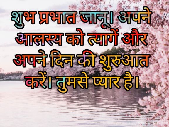 166+ Latest Good Morning Quotes in Hindi 2023 39