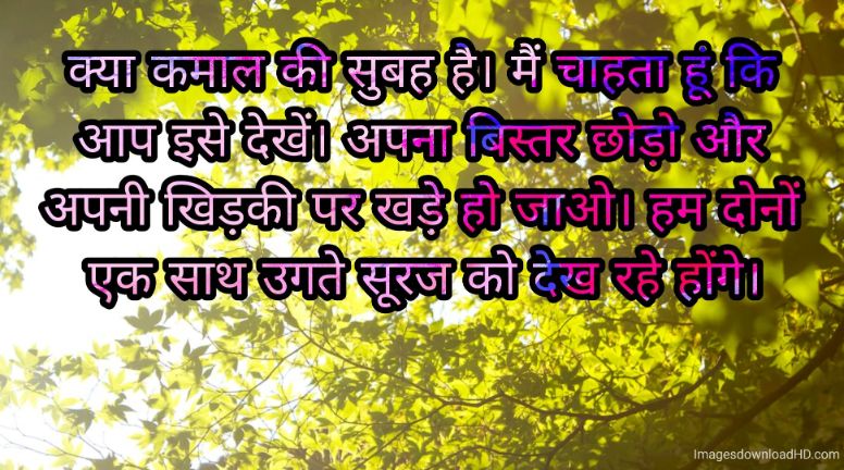 166+ Latest Good Morning Quotes in Hindi 2023 40