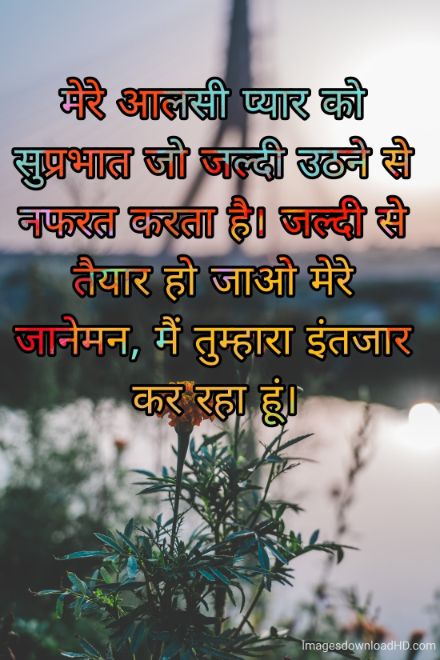 166+ Latest Good Morning Quotes in Hindi 2023 41
