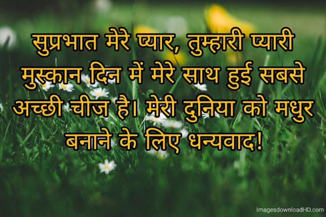 166+ Latest Good Morning Quotes in Hindi 2023 43