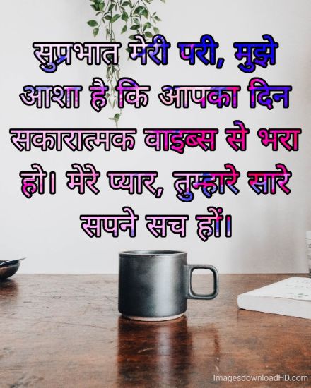 166+ Latest Good Morning Quotes in Hindi 2023 42