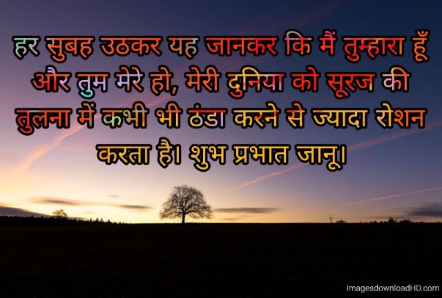 166+ Latest Good Morning Quotes in Hindi 2023 46