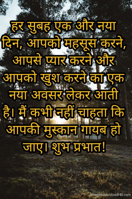 166+ Latest Good Morning Quotes in Hindi 2023 51