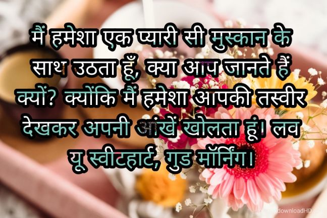 166+ Latest Good Morning Quotes in Hindi 2023 54