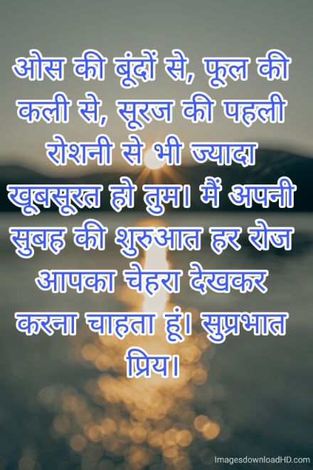 166+ Latest Good Morning Quotes in Hindi 2023 48