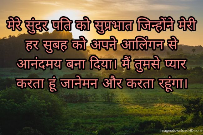166+ Latest Good Morning Quotes in Hindi 2023 49