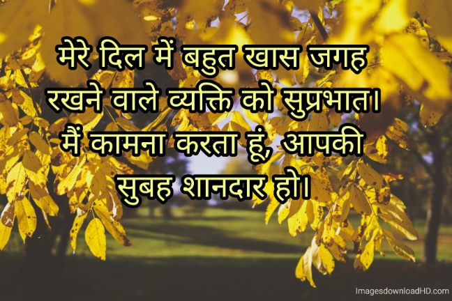 166+ Latest Good Morning Quotes in Hindi 2023 56