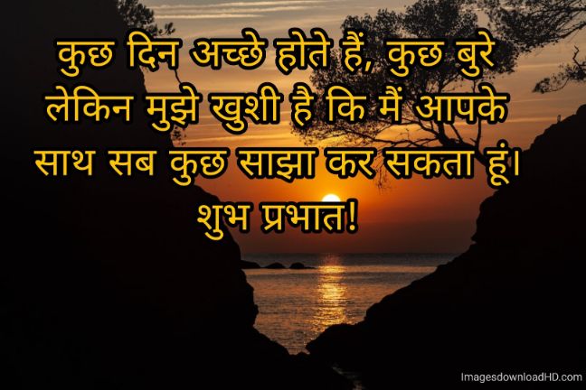 166+ Latest Good Morning Quotes in Hindi 2023 59